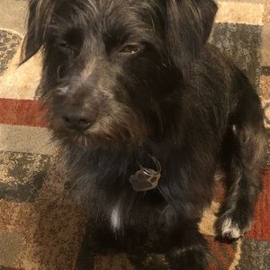 Meet your Posher, Juancho